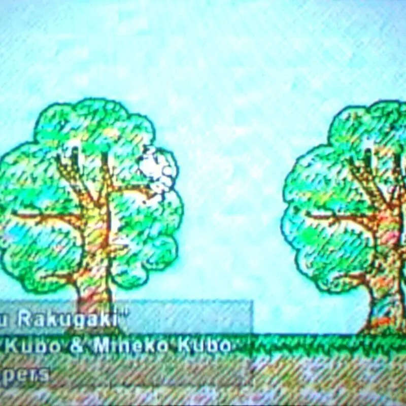 Asobu Rakugaki