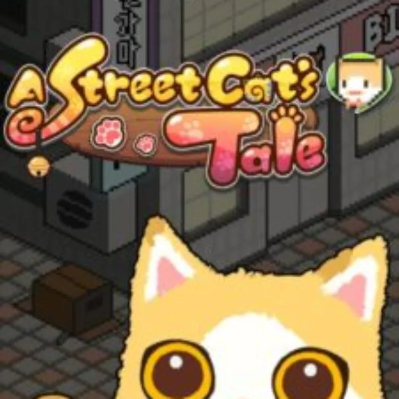 A Street Cat’s Tale