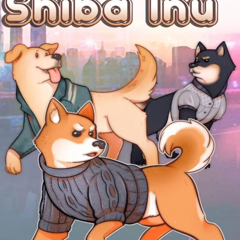 A Summer with the Shiba Inu