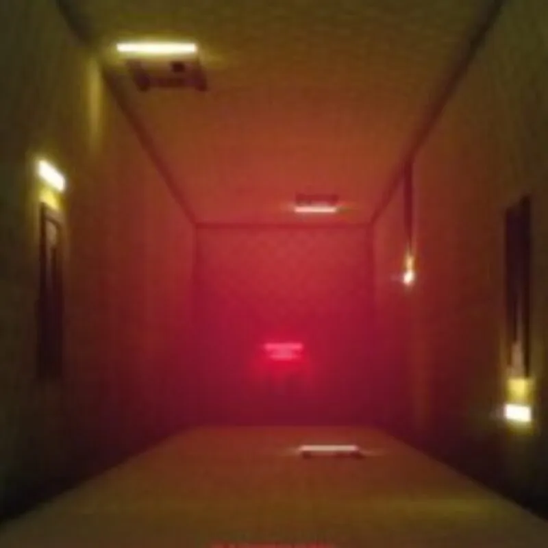 Backrooms Level X