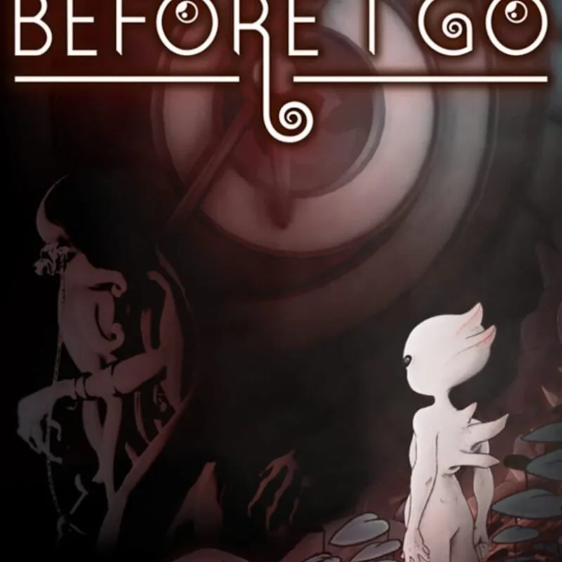 Before I Go