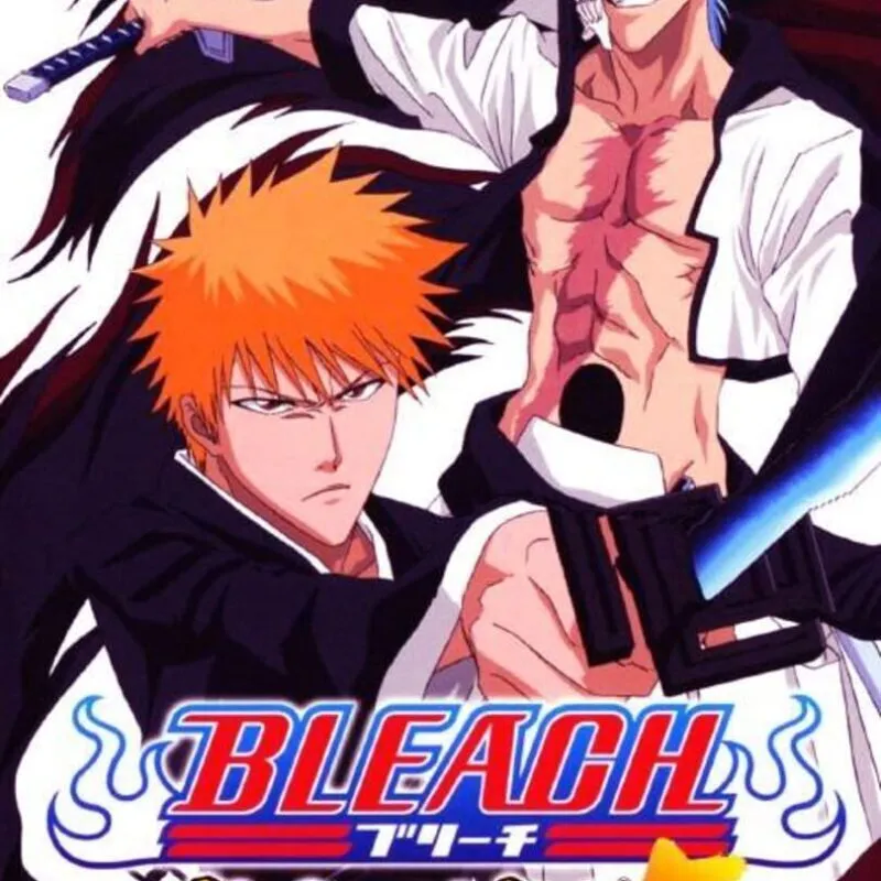 Bleach: Heat the Soul 5