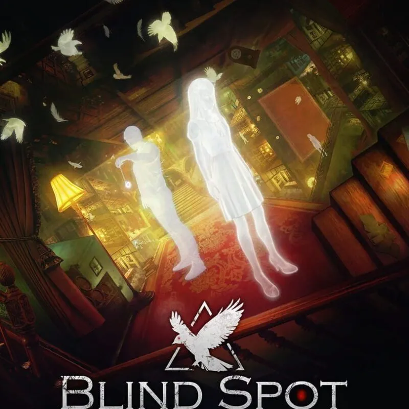 Blind Spot