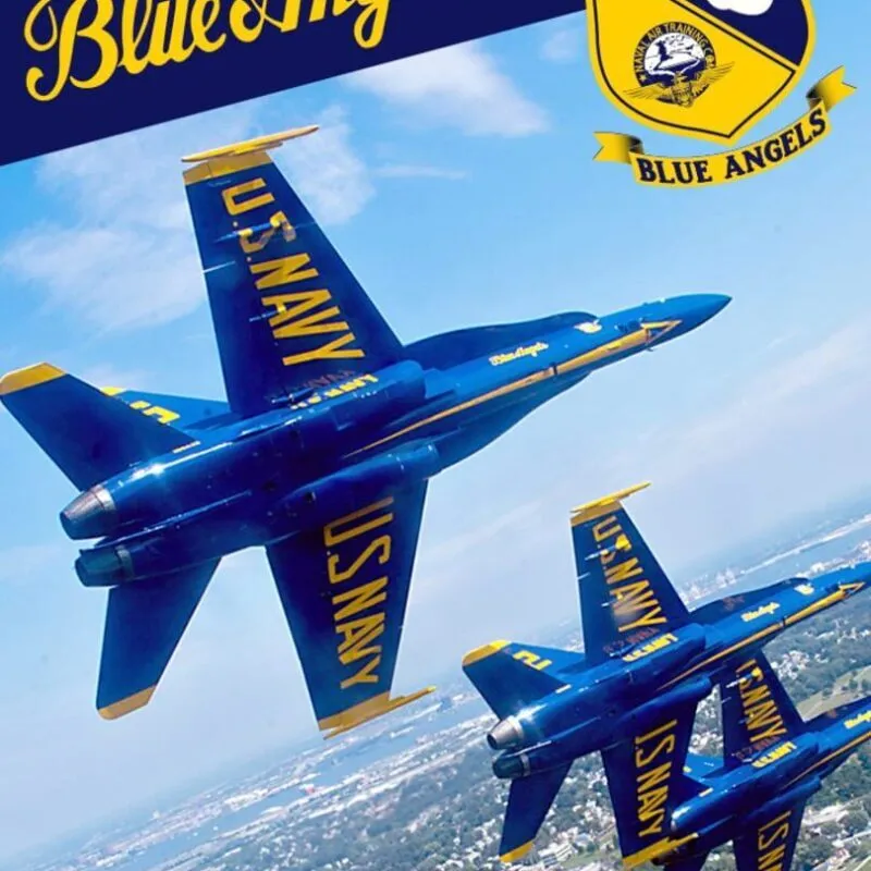 Blue Angels Aerobatic Flight Simulator