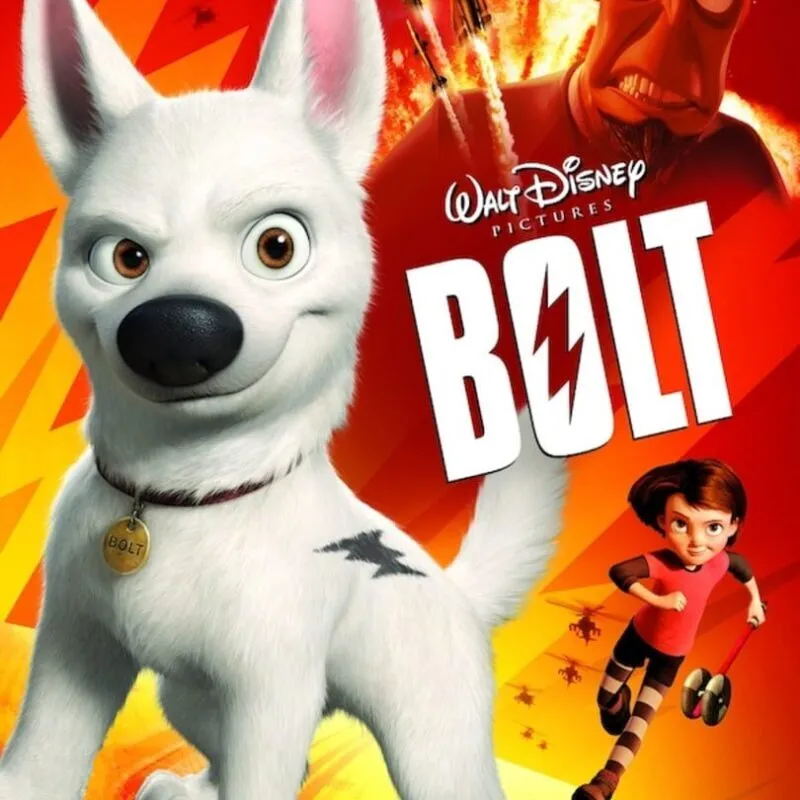 Bolt