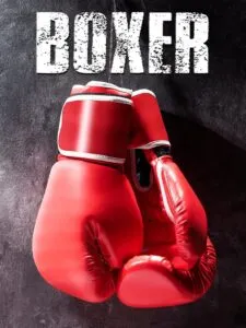 Boxer