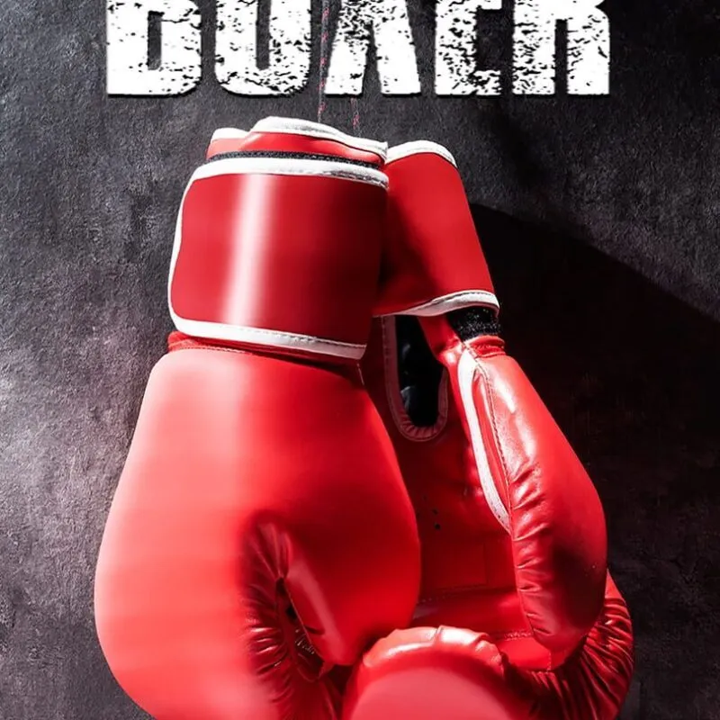 Boxer