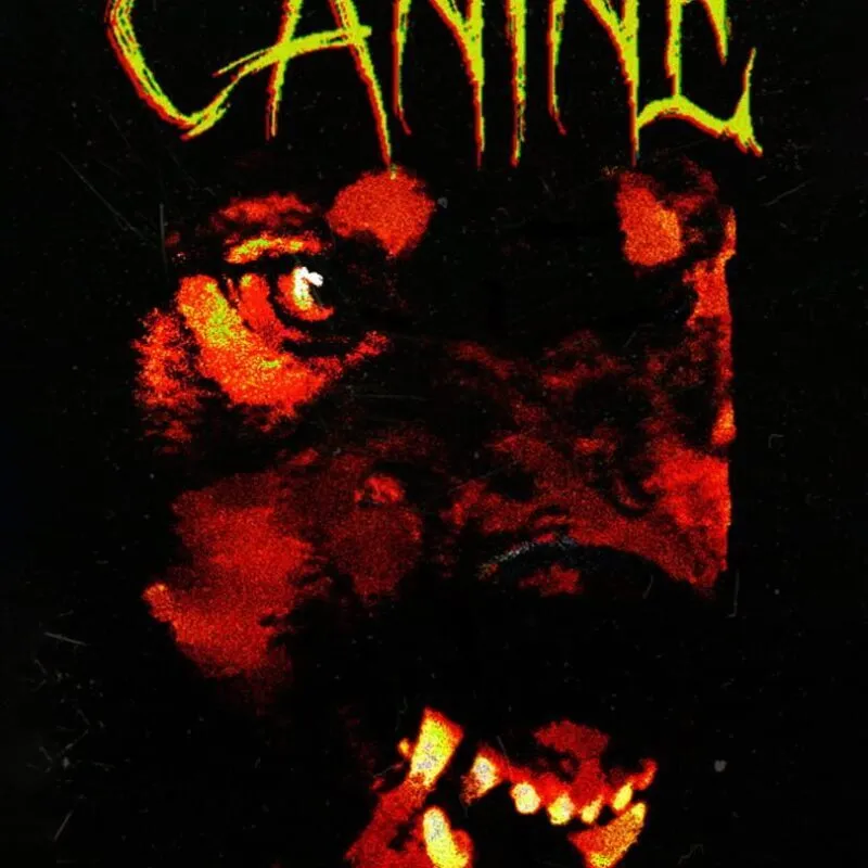 Canine