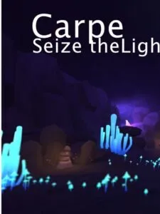 Carpe Lucem – Seize the light