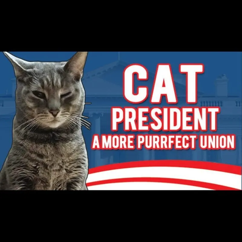 Cat President: A More Purrfect Union