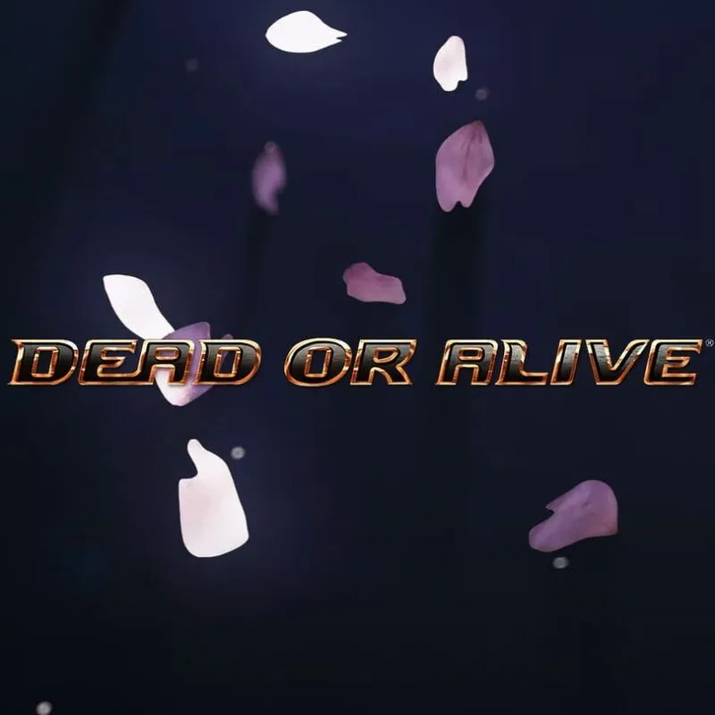 Dead or Alive New Project