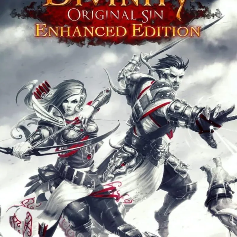Divinity: Original Sin – Enhanced Edition