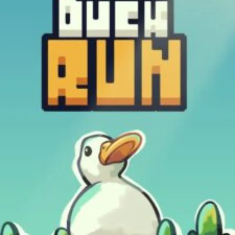 Duck Run