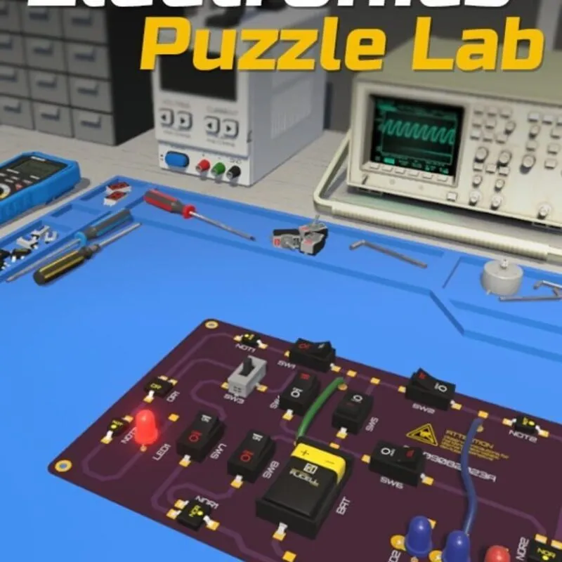 Electronics Puzzle Lab